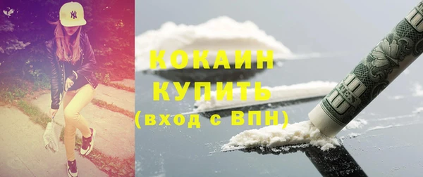 ГАЛЛЮЦИНОГЕННЫЕ ГРИБЫ Яровое