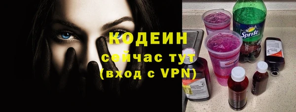 хмурый Липки