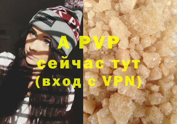 хмурый Липки