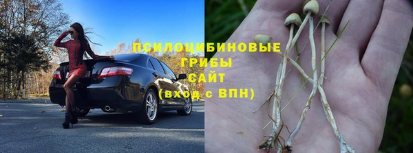 прущие грибы Яранск