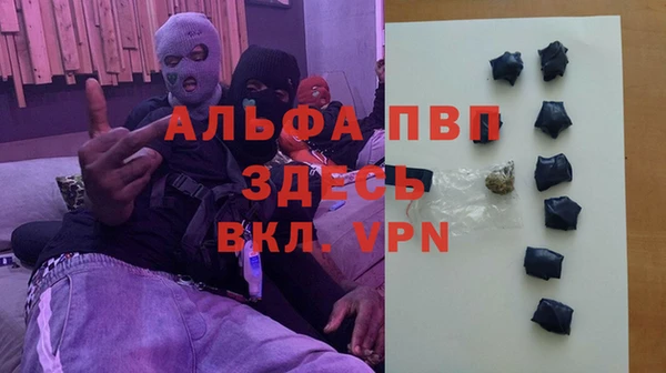 хмурый Липки